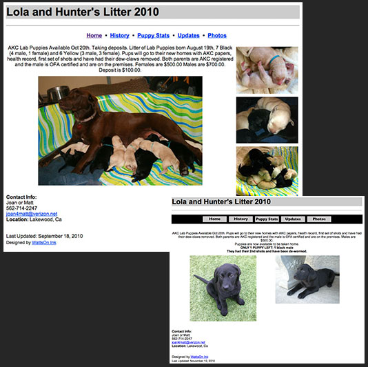 Lola's Litter